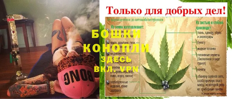 Бошки марихуана Ganja  Пошехонье 